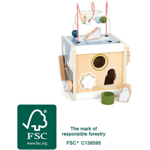 small foot Motorická kostka Artic