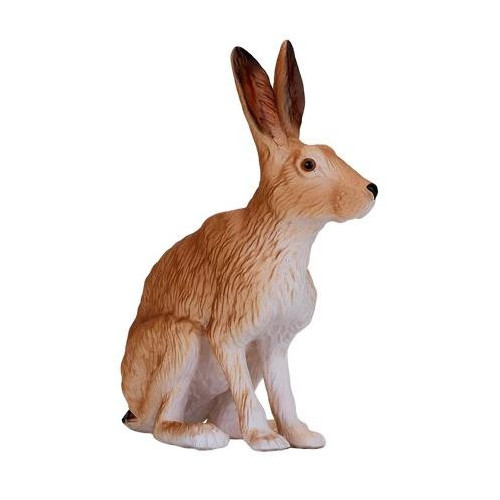 Mojo Zajíc sedící