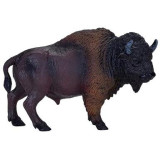 Mojo Americký bizon samice