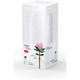 Sluban Flowers M38-B1101-03 Protea velká ve váze