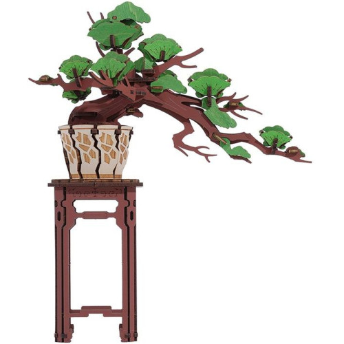 RoboTime 3D dřevěná skládačka Bonsaj borovice