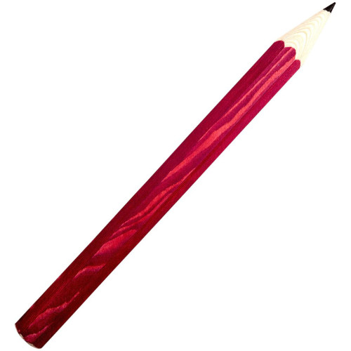 Fauna Velká tužka purpurová