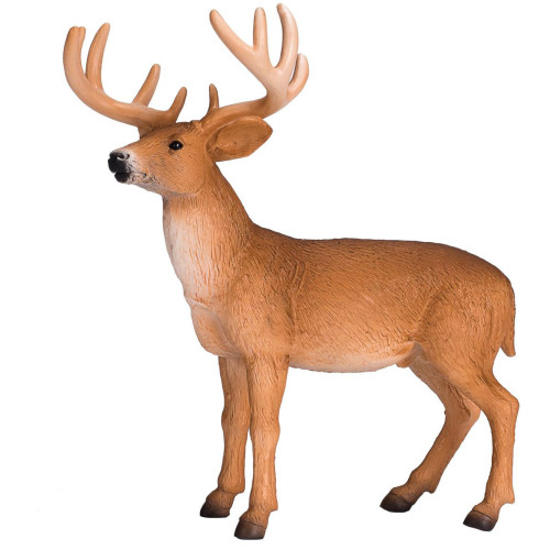 Mojo Jelen běloocasý