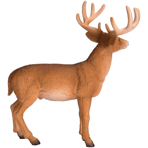 Mojo Jelenec běloocasý