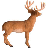 Mojo Jelenec běloocasý