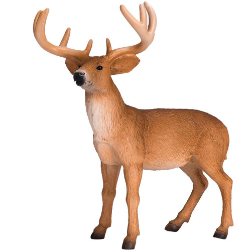 Mojo Jelenec běloocasý