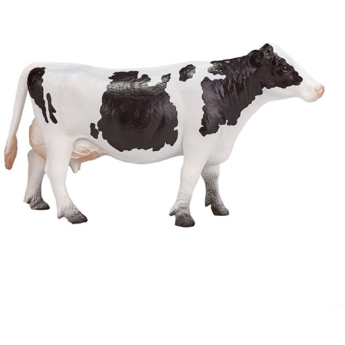 Mojo Kráva holštýnská