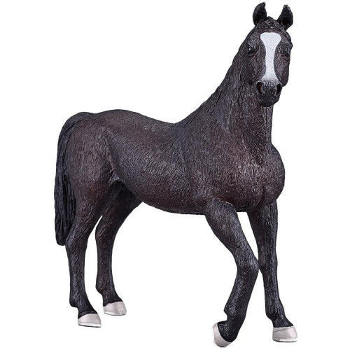 Mojo Arabský hřebec černý