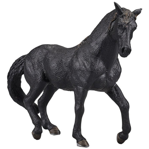 Mojo Andaluský černý kůň