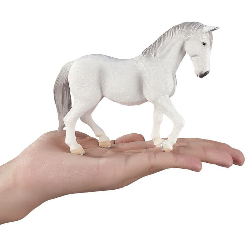 Mojo Lipicán kobyla