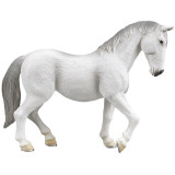 Mojo Lipicán kobyla