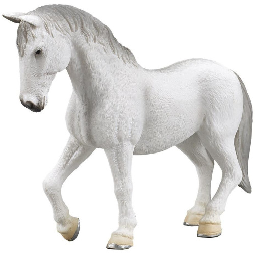 Mojo Lipicán kobyla