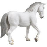 Mojo Lipicán kobyla