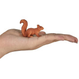 Mojo Veverka běžící