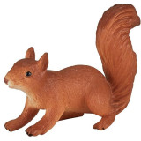 Mojo Veverka běžící