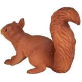 Mojo Veverka běžící