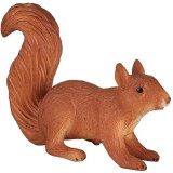 Mojo Veverka běžící