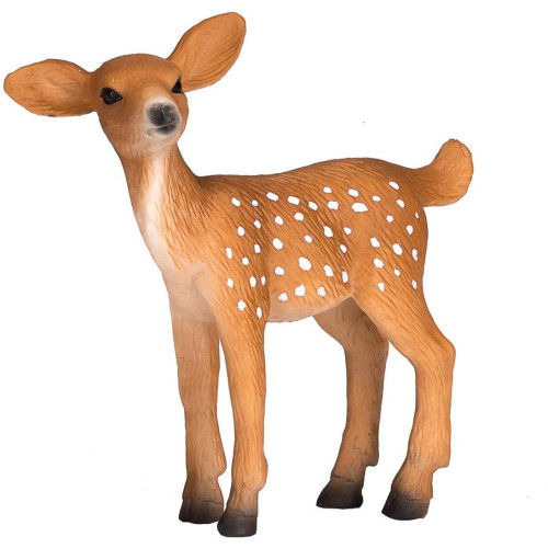 Mojo Jelenec běloocasý kolouch