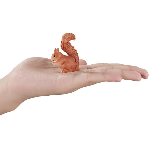 Mojo Veverka stojící