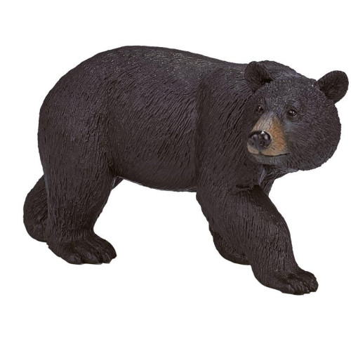 Mojo Medvěd baribal