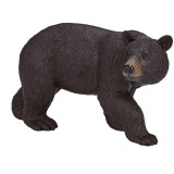 Mojo Medvěd baribal