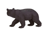 Mojo Medvěd baribal