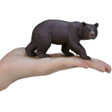 Mojo Medvěd baribal