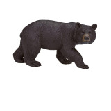 Mojo Medvěd baribal