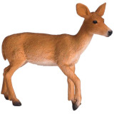 Mojo Jelenec běloocasý laň