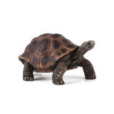 Mojo Želva obrovská