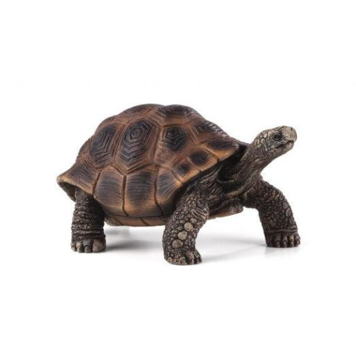 Mojo Želva obrovská