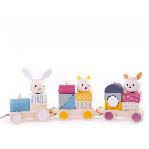 Bigjigs Baby Dřevěný vláček se zvířátky