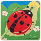 Bigjigs Toys Vkládací puzzle životní cykly berušky