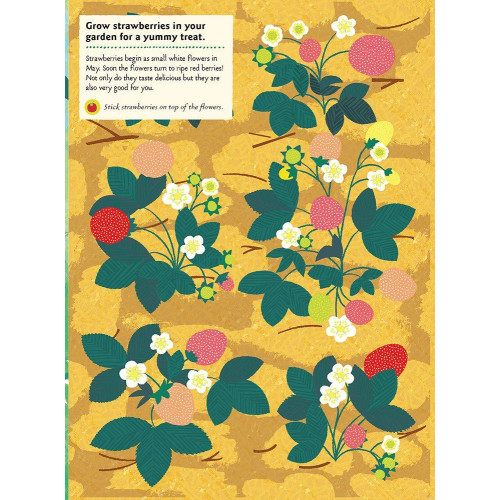 Chronicle Books Kniha aktivit se samolepkami my nature V zeleninové zahradě