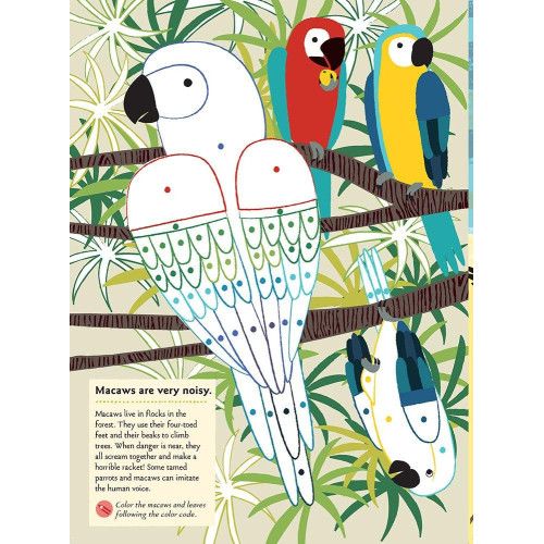 Chronicle Books Kniha aktivit se samolepkami my nature Ptáci světa