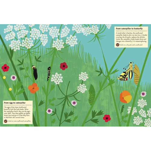 Chronicle Books Kniha aktivit se samolepkami my nature Motýli světa