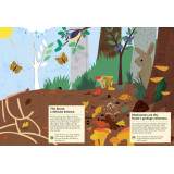 Chronicle Books Kniha aktivit se samolepkami my nature V lese