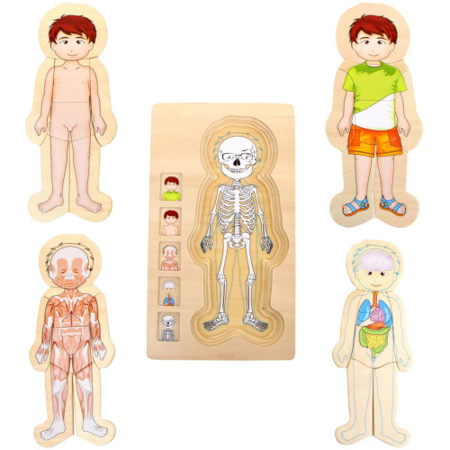 small foot Dřevěné hračky puzzle anatomie Tim