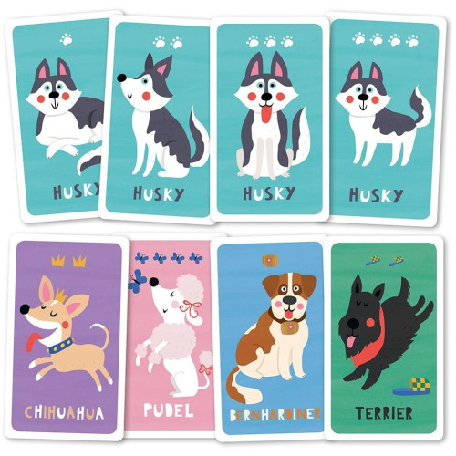 Magellan Kvarteto psi