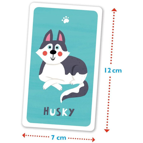 Magellan Kvarteto psi