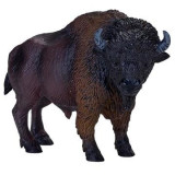 Mojo Americký bizon samice