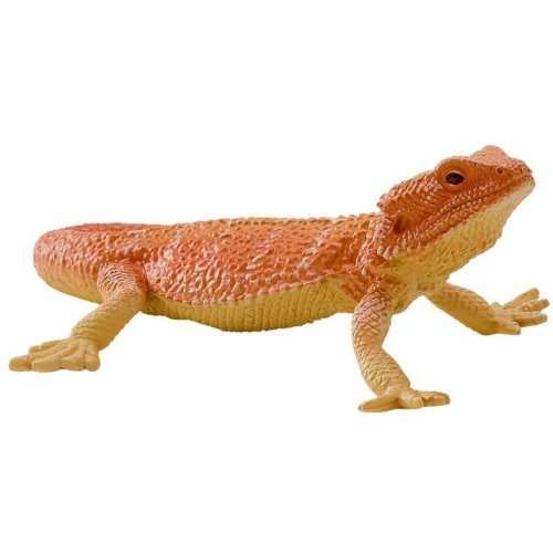 Mojo Agama