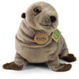Rappa Plyšový lachtan 30 cm ECO-FRIENDLY