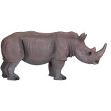 Mojo Nosorožec tuponosý