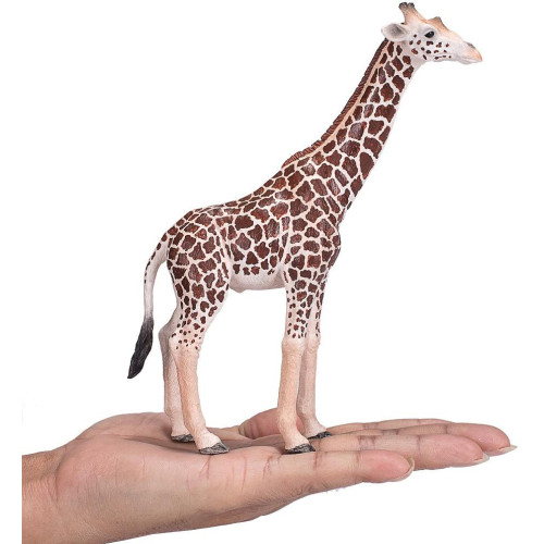 Mojo Žirafa samec