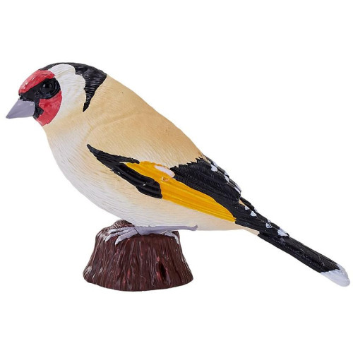 Mojo Stehlík obecný