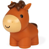 Stříkající hračka do vody Domácí zvířátka Janod 4 ks