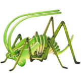 Woodcraft Dřevěné 3D puzzle malý cvrček